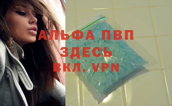 крисы Гусев
