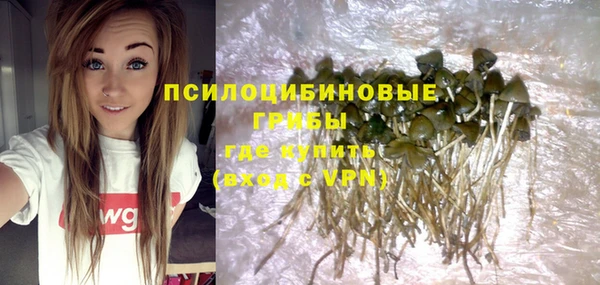 шишки Вязьма