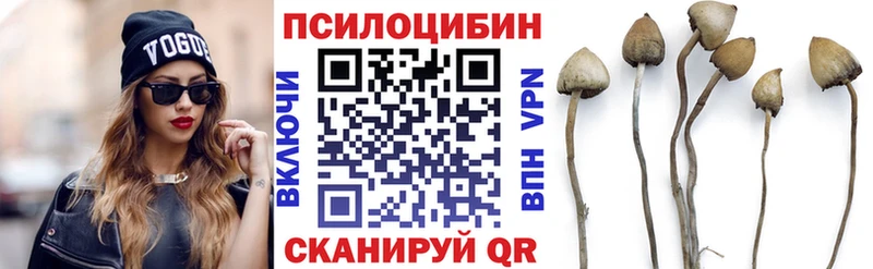 Псилоцибиновые грибы Psilocybine cubensis  shop состав  Енисейск 
